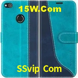 Recursos de Bônus SSvip Com
